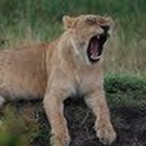 Meet your Posher, Ryann